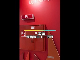 德奥金森-走进爱格波兰工厂展厅